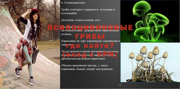 мет Абинск