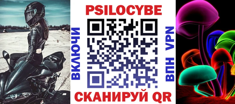 Псилоцибиновые грибы Psilocybe Элиста